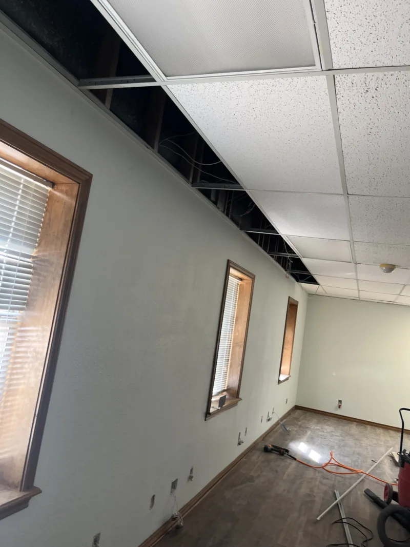 Office room with fresh paint, new windows and an open ceiling grid